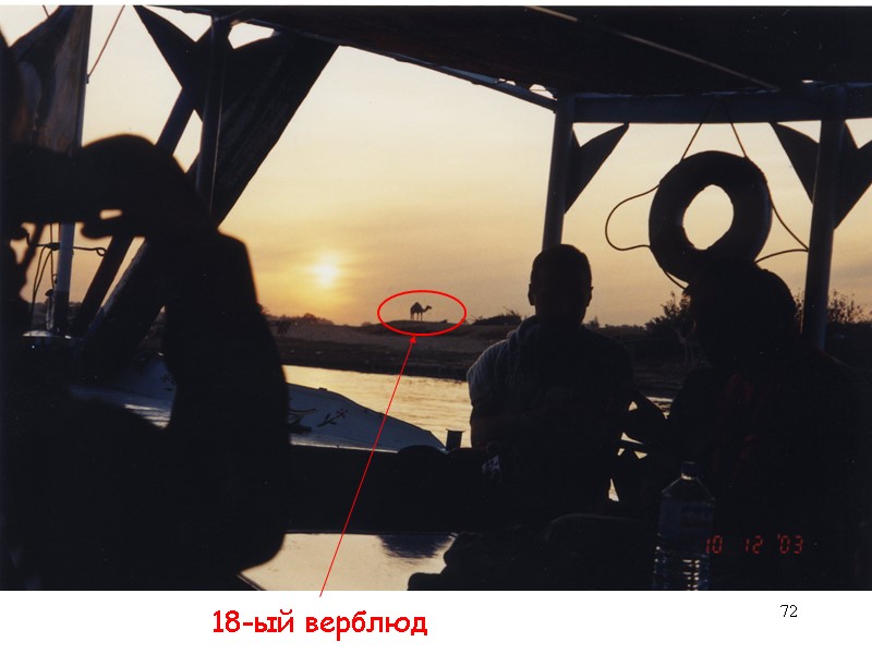 72 18-ый верблюд